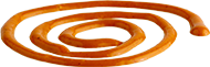 BBQ Sauce