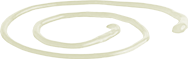 Mayonnaise