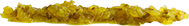 Relish